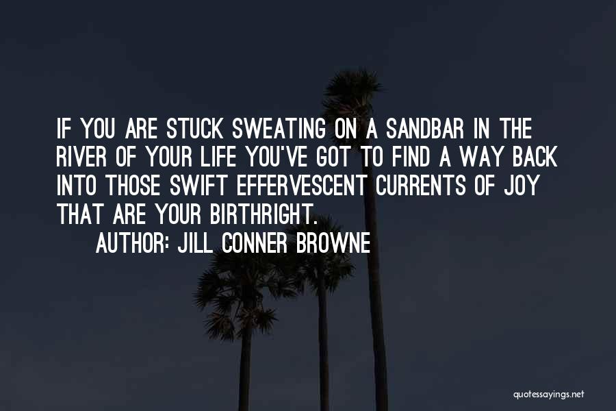 Sweating You Quotes By Jill Conner Browne