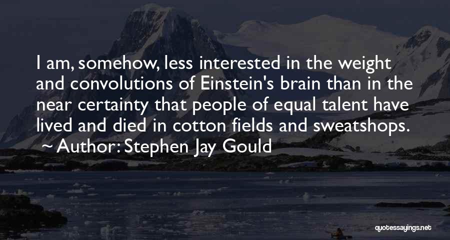 Sweatshops Quotes By Stephen Jay Gould