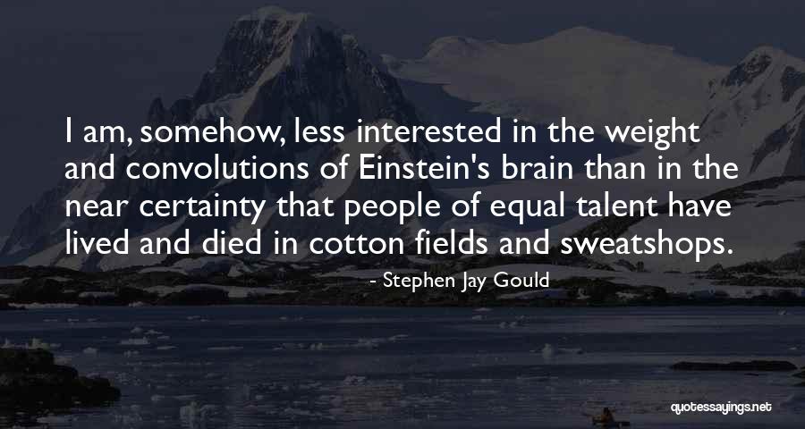 Sweatshops Quotes By Stephen Jay Gould