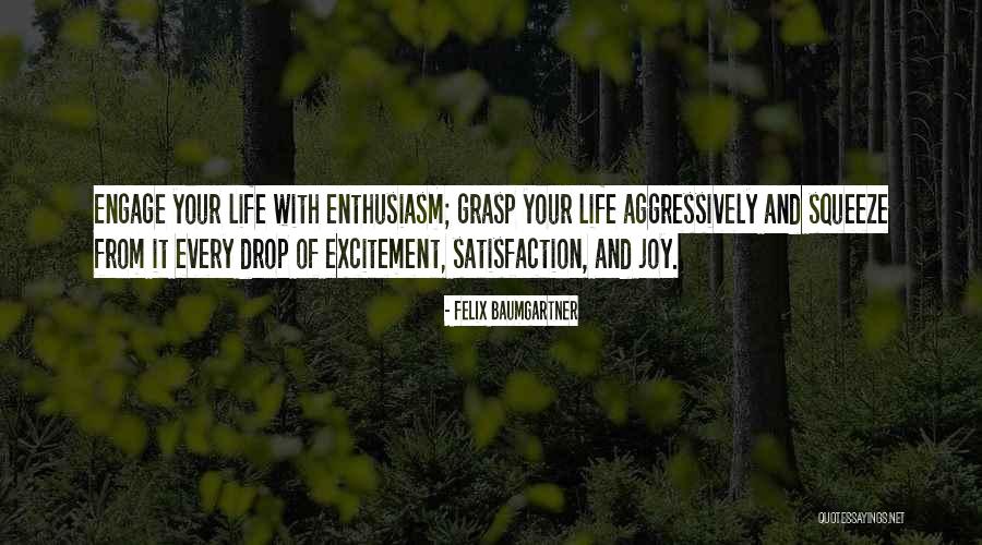 Swede Heartbreak Ridge Quotes By Felix Baumgartner Swede Heartbreak Ridge Quotes By Felix Baumgartner
