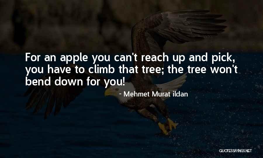 Swedenborgianism Helen Quotes By Mehmet Murat Ildan Swedenborgianism Helen Quotes By Mehmet Murat Ildan