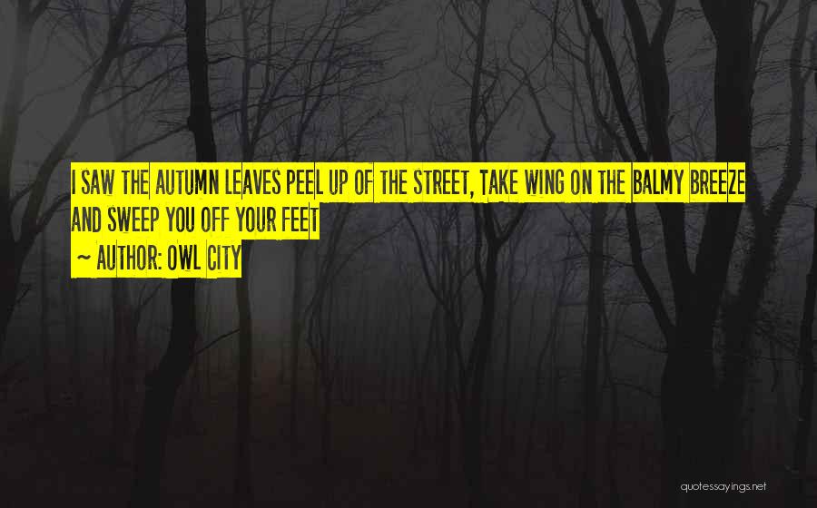 Sweep Off Your Feet Quotes By Owl City