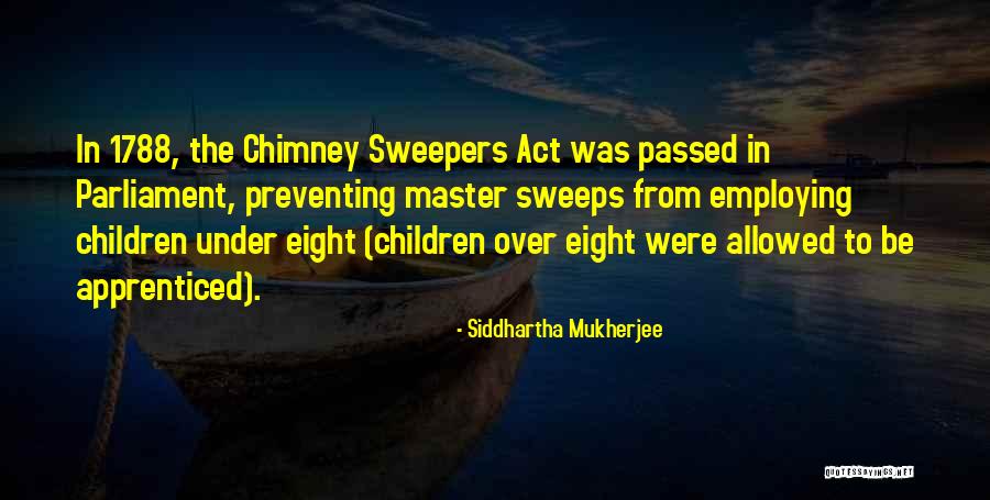 Sweepers Quotes By Siddhartha Mukherjee