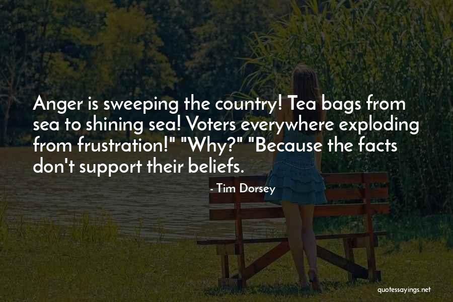 Sweeping Quotes By Tim Dorsey