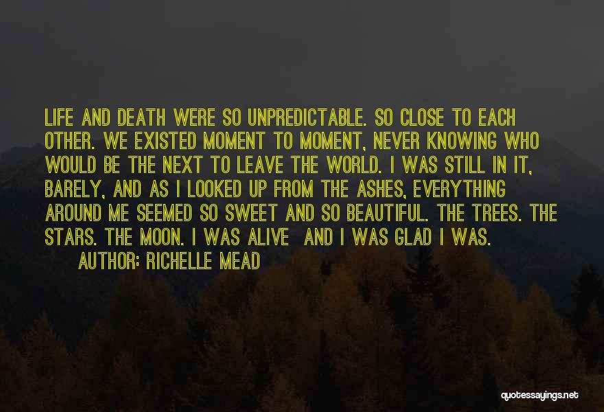 Sweet And Beautiful Quotes By Richelle Mead