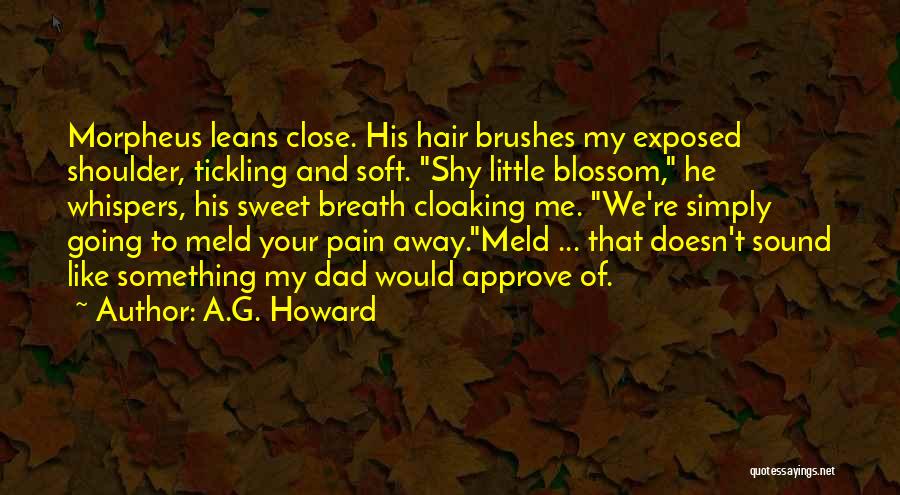 Sweet And Soft Quotes By A.G. Howard