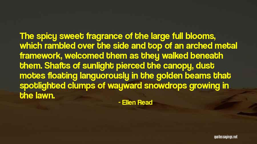 Sweet And Spicy Quotes By Ellen Read Sweet And Spicy Quotes By Ellen Read
