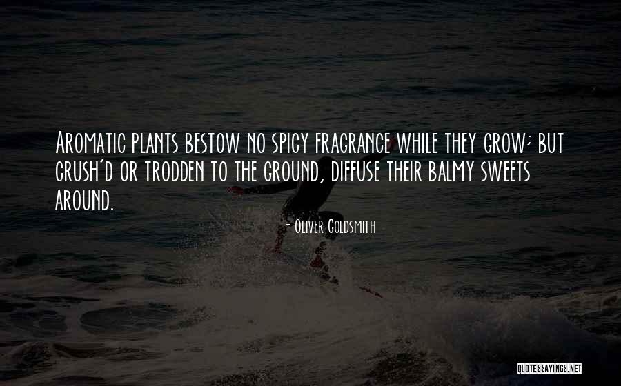 Sweet And Spicy Quotes By Oliver Goldsmith Sweet And Spicy Quotes By Oliver Goldsmith