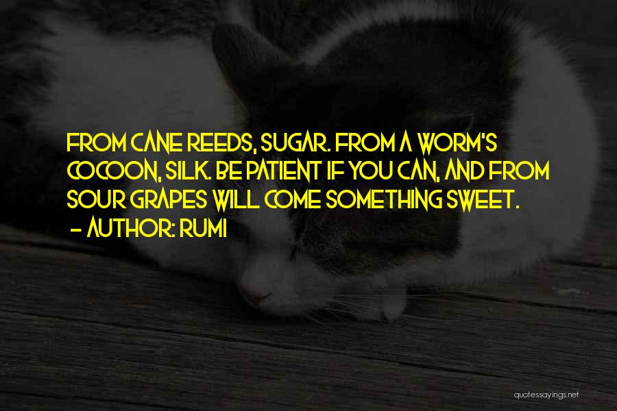 Sweet And Sugar Quotes By Rumi