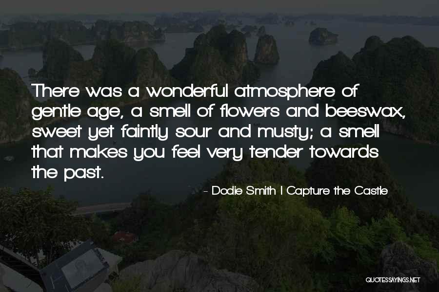 Sweet And Tender Quotes By Dodie Smith I Capture The Castle