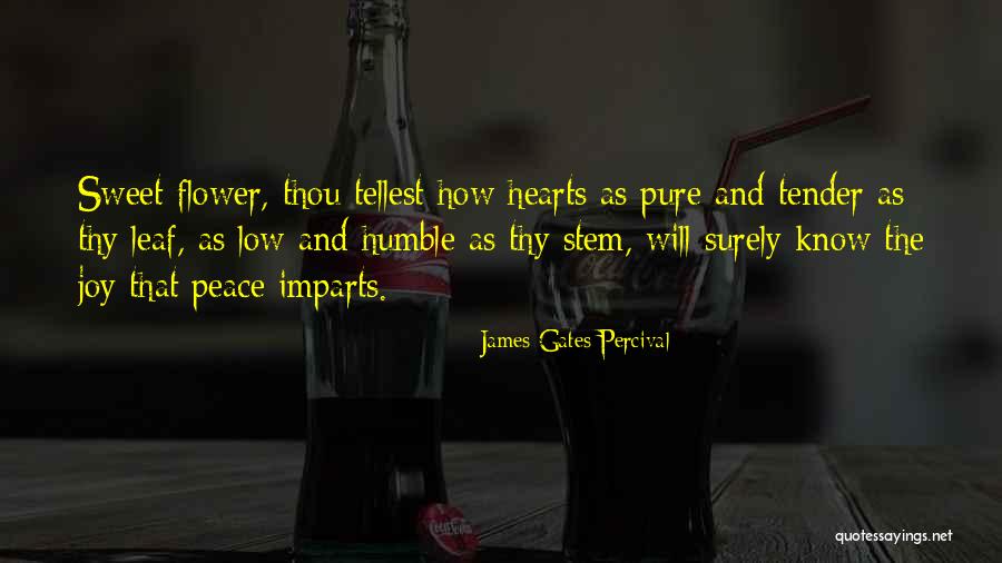 Sweet And Tender Quotes By James Gates Percival