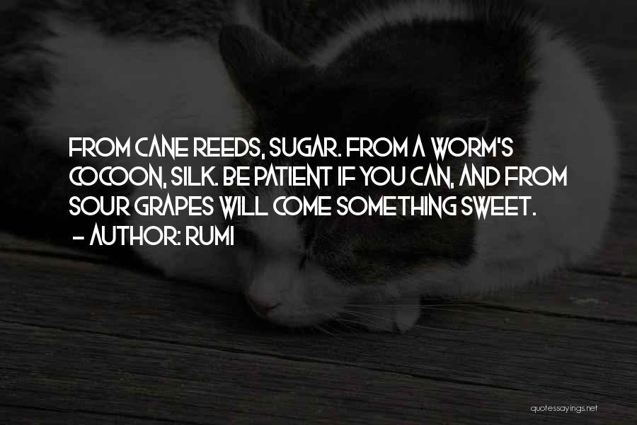 Sweet As Sugar Quotes By Rumi