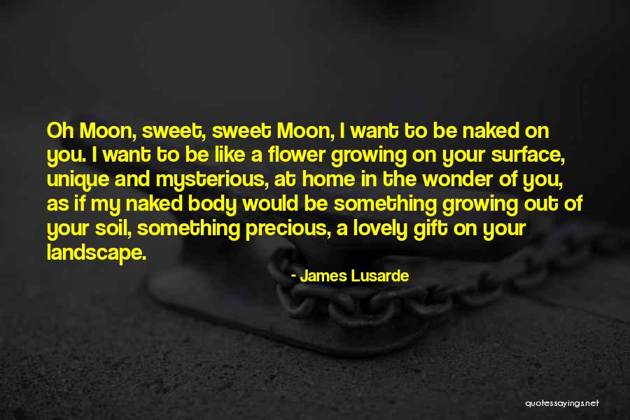 Sweet As You Quotes By James Lusarde