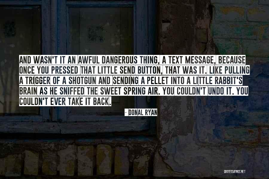 Sweet But Dangerous Quotes By Donal Ryan