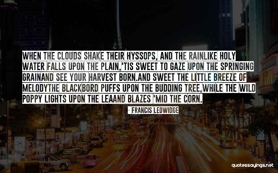 Sweet Corn Quotes By Francis Ledwidge Sweet Corn Quotes By Francis Ledwidge