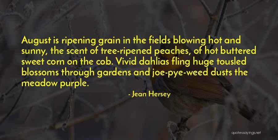 Sweet Corn Quotes By Jean Hersey Sweet Corn Quotes By Jean Hersey