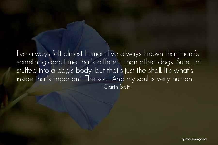Sweet Dogs Quotes By Garth Stein Sweet Dogs Quotes By Garth Stein