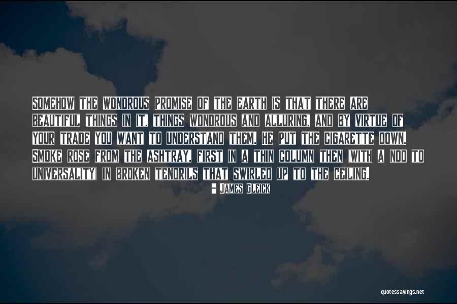 Sweet Dreamer Sweet Sensation Quotes By James Gleick Sweet Dreamer Sweet Sensation Quotes By James Gleick