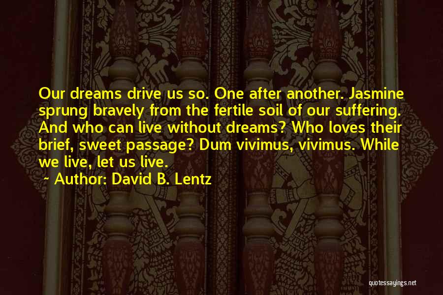 Sweet Dreams Quotes By David B. Lentz