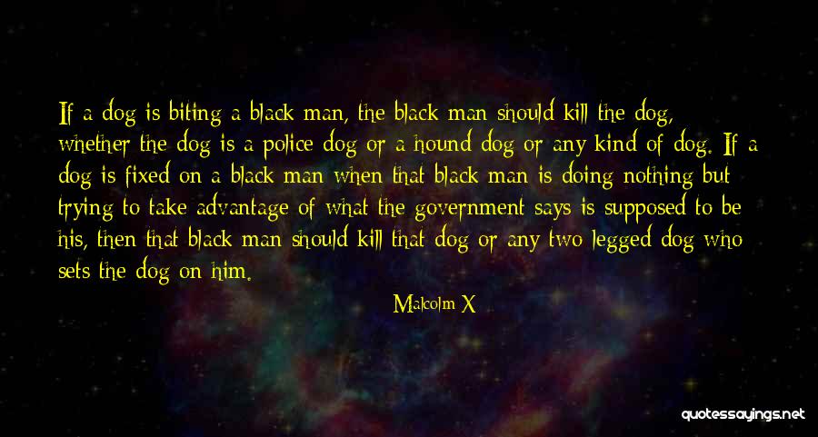 Sweet Hereafter Movie Quotes By Malcolm X Sweet Hereafter Movie Quotes By Malcolm X