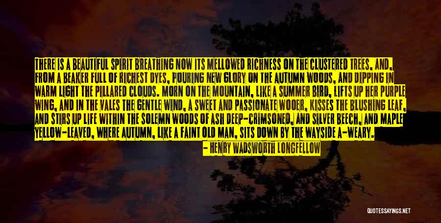 Sweet Light Quotes By Henry Wadsworth Longfellow Sweet Light Quotes By Henry Wadsworth Longfellow
