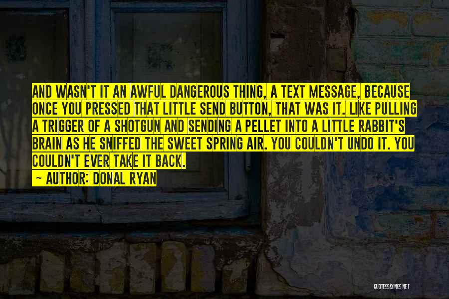 Sweet Little Thing Quotes By Donal Ryan