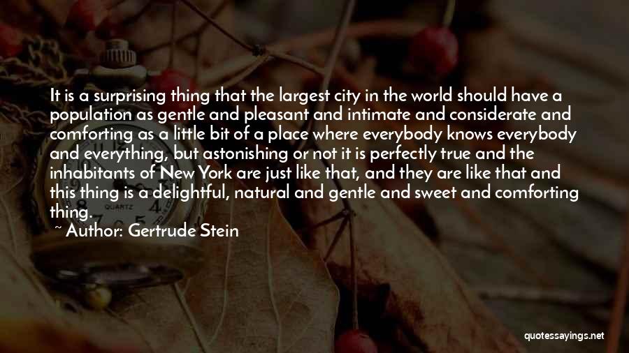 Sweet Little Thing Quotes By Gertrude Stein