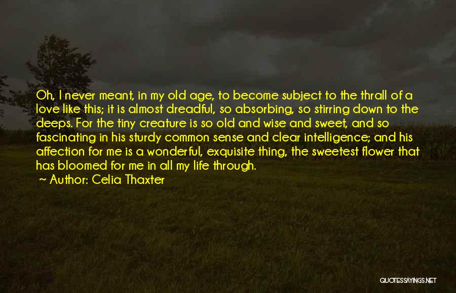 Sweet Love Of Life Quotes By Celia Thaxter Sweet Love Of Life Quotes By Celia Thaxter