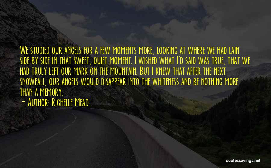 Sweet Moments With Him Quotes By Richelle Mead