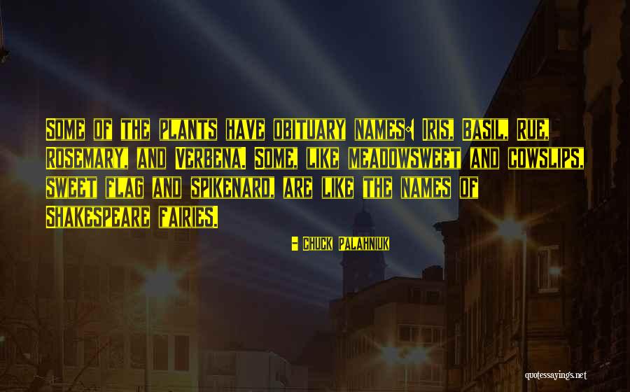 Sweet Names Quotes By Chuck Palahniuk Sweet Names Quotes By Chuck Palahniuk