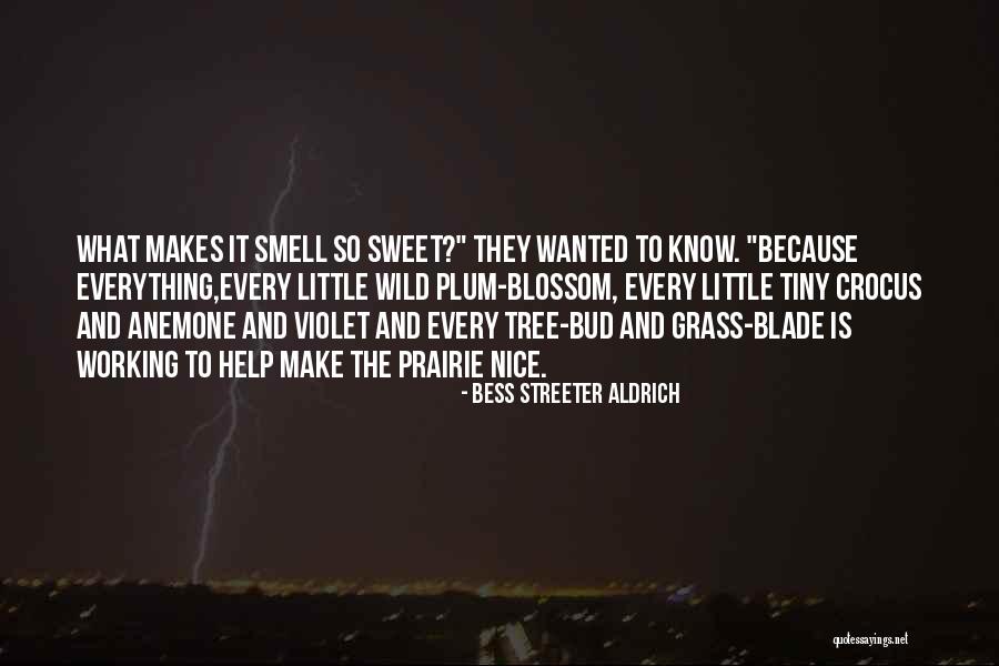 Sweet Plum Quotes By Bess Streeter Aldrich Sweet Plum Quotes By Bess Streeter Aldrich