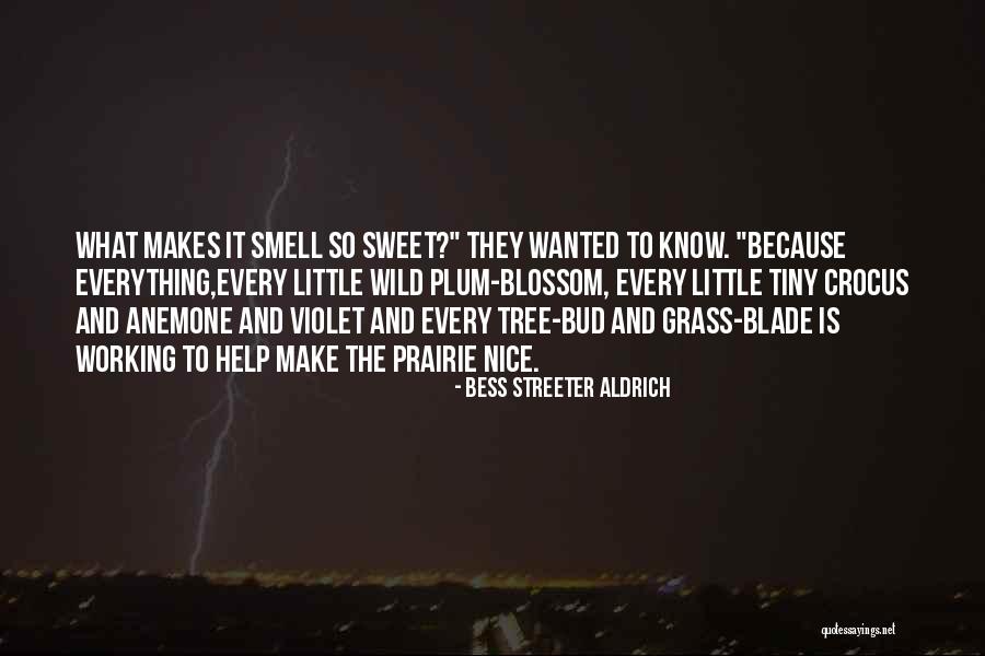 Sweet Plum Quotes By Bess Streeter Aldrich