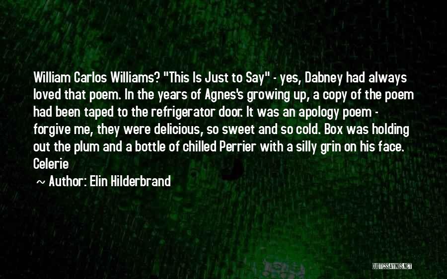 Sweet Plum Quotes By Elin Hilderbrand