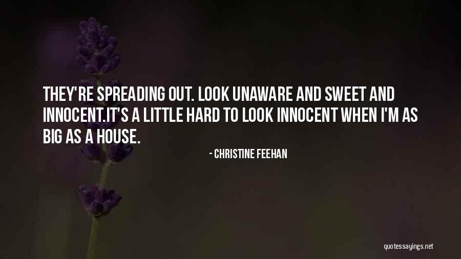 Sweet Pregnancy Quotes By Christine Feehan Sweet Pregnancy Quotes By Christine Feehan
