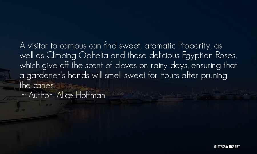 Sweet Scent Quotes By Alice Hoffman