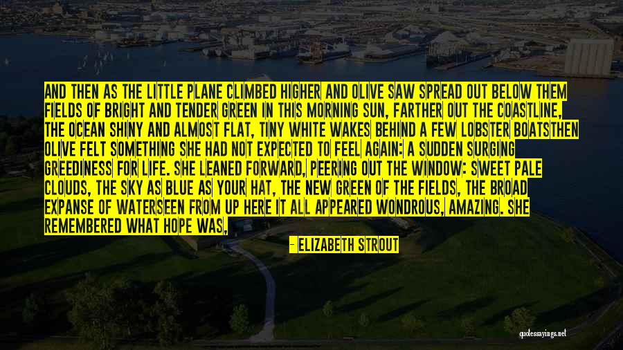 Sweet Tender Quotes By Elizabeth Strout Sweet Tender Quotes By Elizabeth Strout