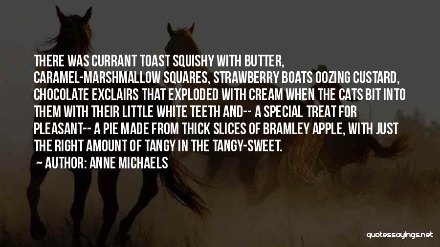 Sweet Treat Quotes By Anne Michaels