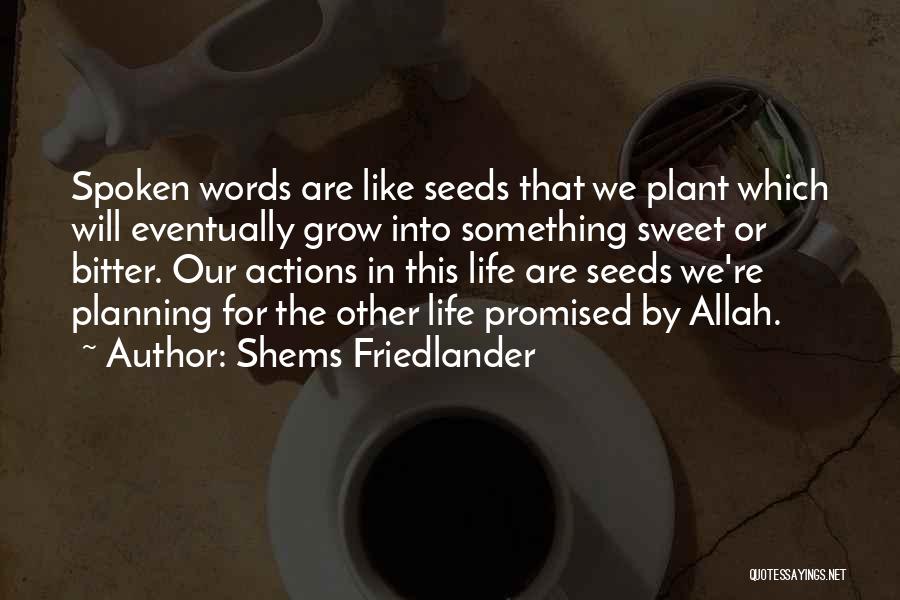 Sweet Words Or Quotes By Shems Friedlander