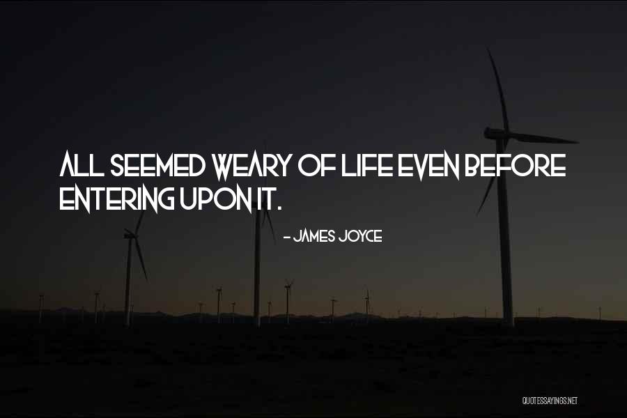 Sweetbrier Train Quotes By James Joyce Sweetbrier Train Quotes By James Joyce