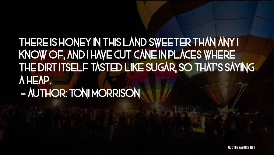 Sweeter Than Honey Quotes By Toni Morrison