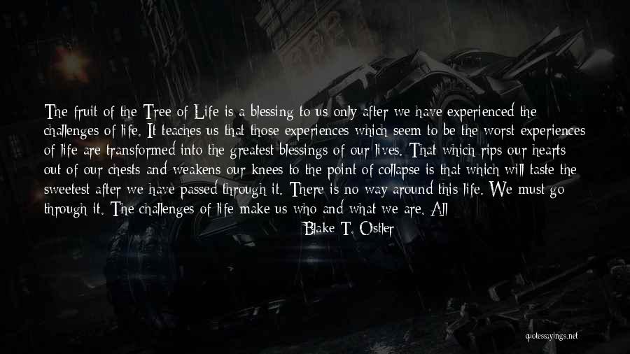 Sweetest Things In Life Quotes By Blake T. Ostler Sweetest Things In Life Quotes By Blake T. Ostler