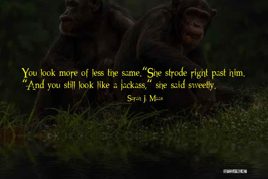 Sweetly Quotes By Sarah J. Maas Sweetly Quotes By Sarah J. Maas