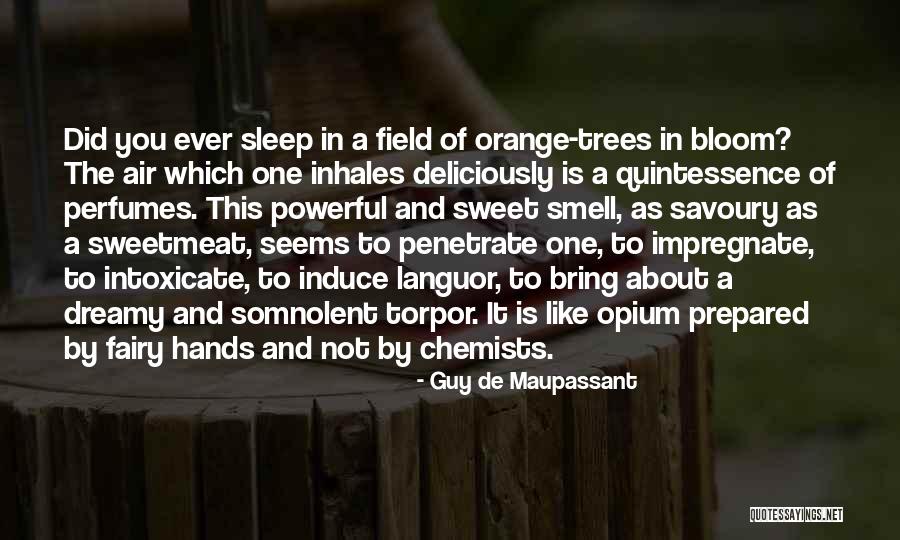 Sweetmeat Quotes By Guy De Maupassant Sweetmeat Quotes By Guy De Maupassant