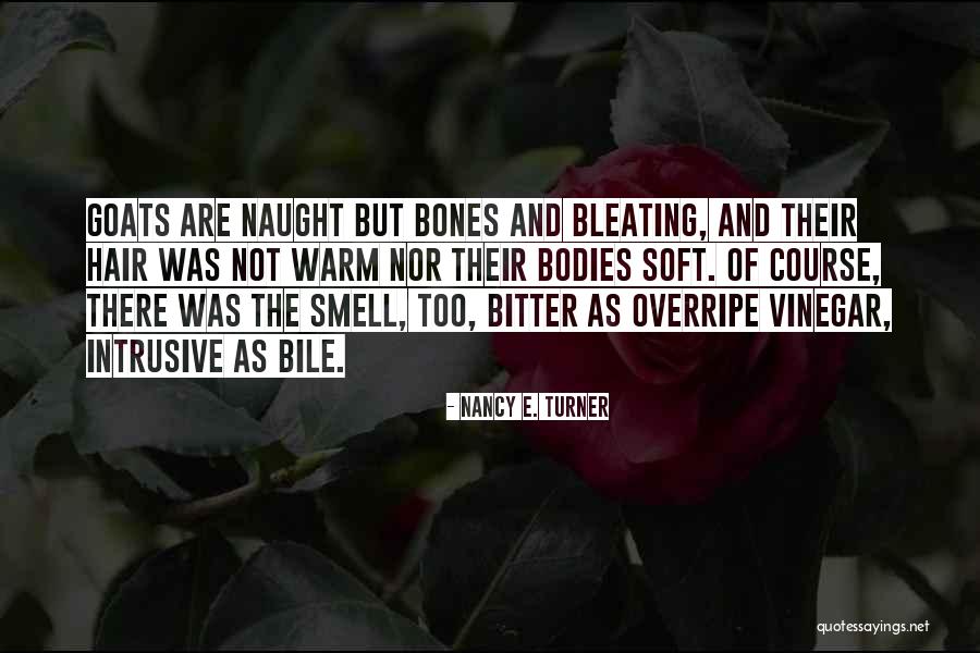 Swelldone Quotes By Nancy E. Turner Swelldone Quotes By Nancy E. Turner