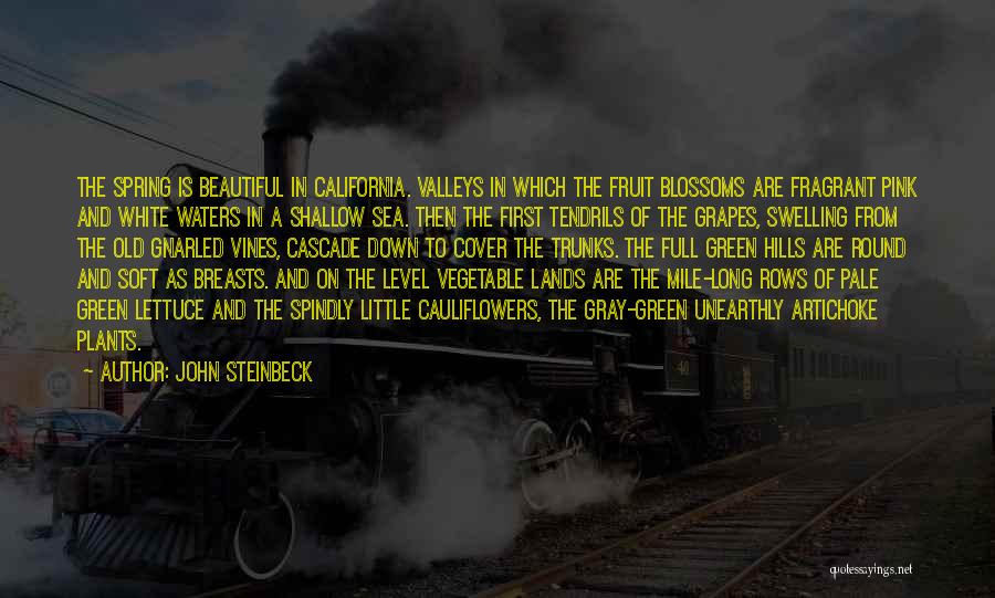 Swelling Quotes By John Steinbeck