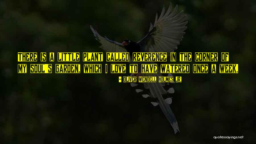 Swena Sofia Quotes By Oliver Wendell Holmes Jr. Swena Sofia Quotes By Oliver Wendell Holmes Jr.