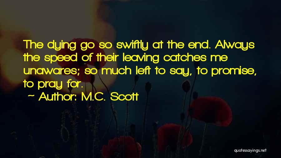 Swiftly Quotes By M.C. Scott
