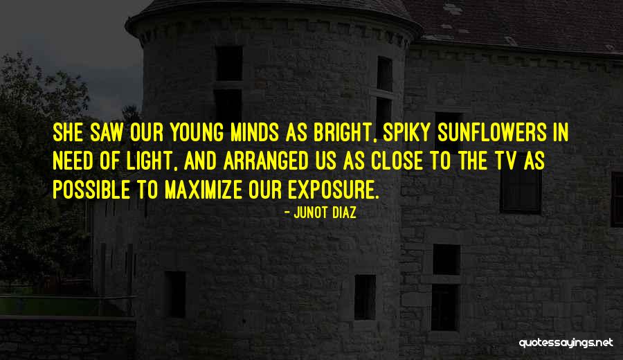 Swiftness Crossword Quotes By Junot Diaz Swiftness Crossword Quotes By Junot Diaz