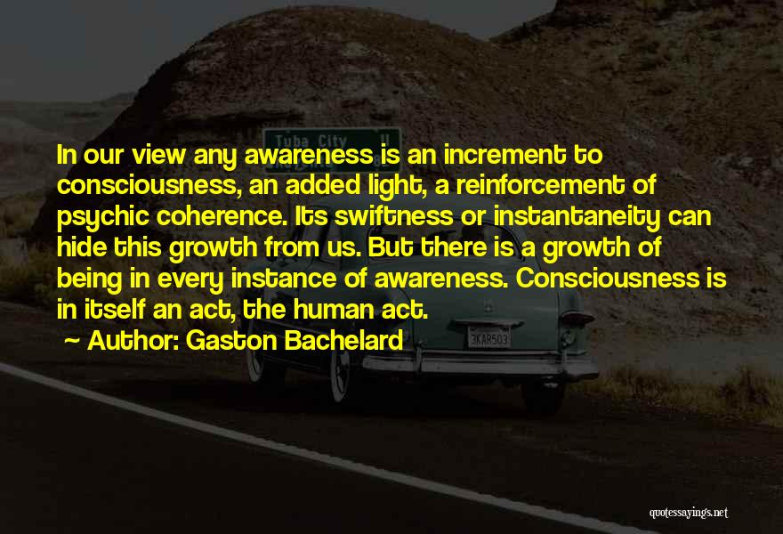 Swiftness Quotes By Gaston Bachelard