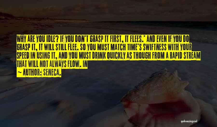 Swiftness Quotes By Seneca.